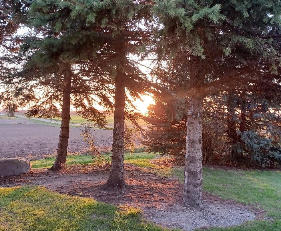 The Timbers Golf Club-Tuscola必去景点