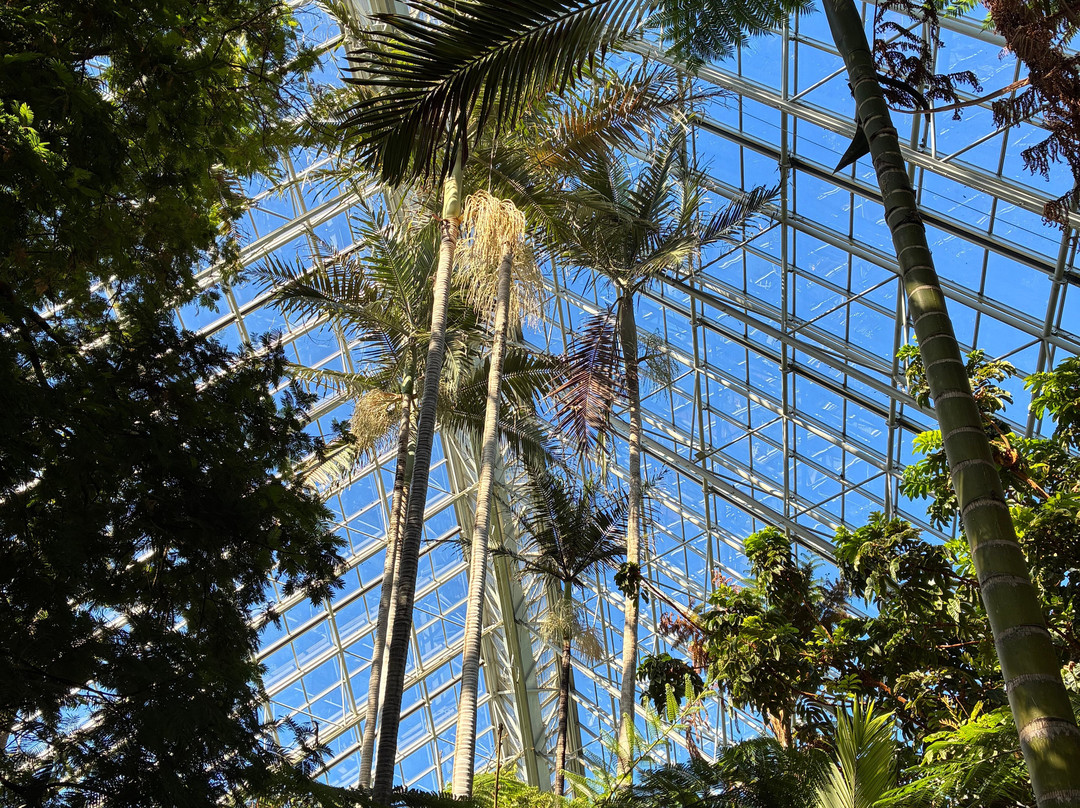 Bicentennial Conservatory-阿德莱德必去景点