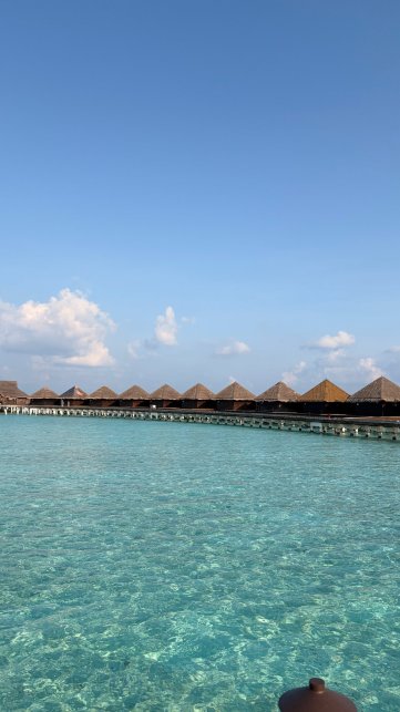 泰姬度假温泉酒店-官方