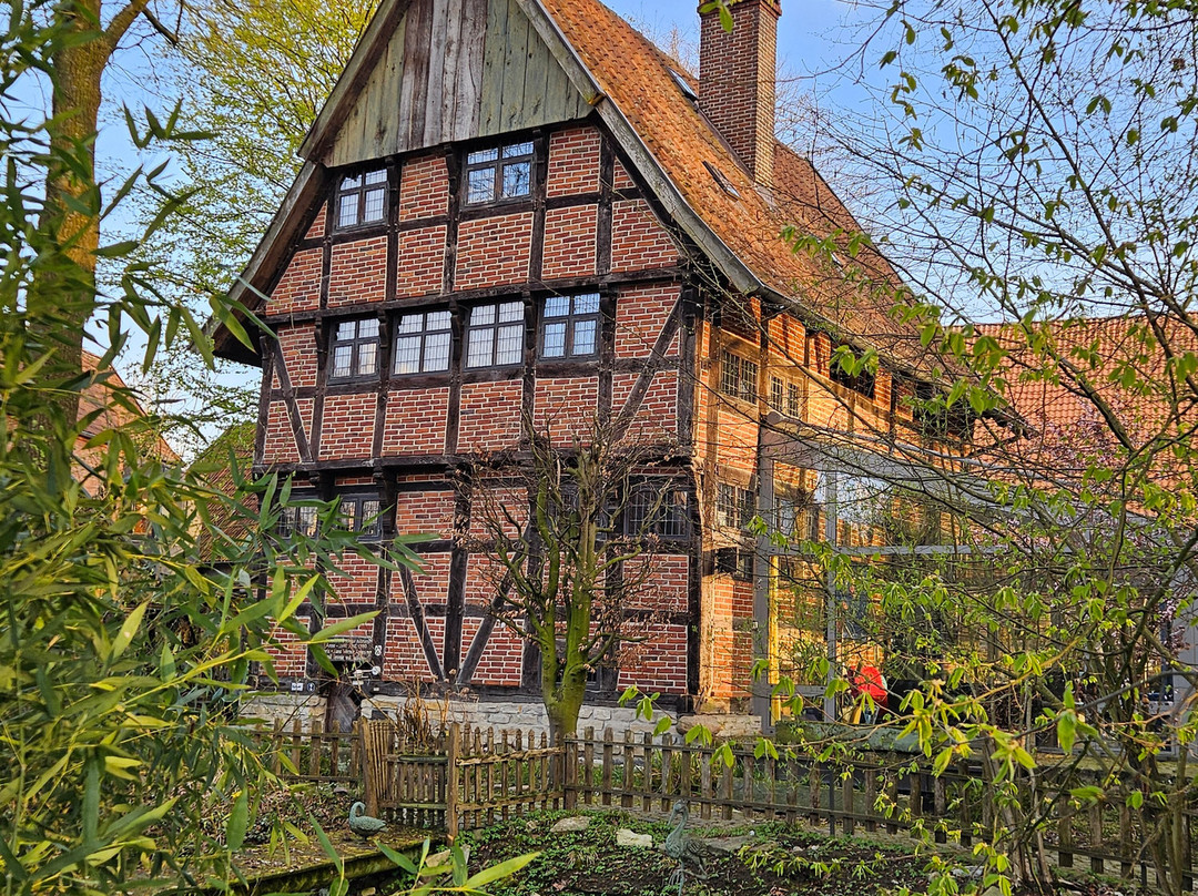 阿尔特韦勒恩酒店主图