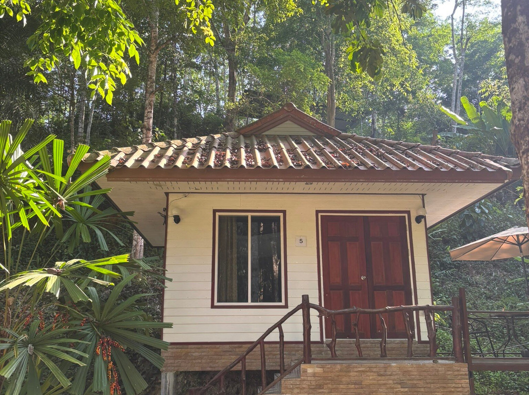 Khaosok Creek and Jungle Resort