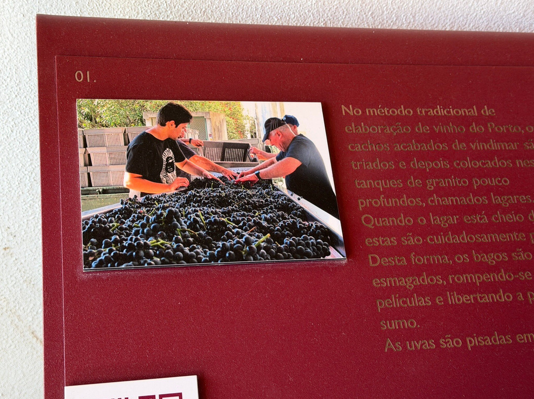 Quinta da Roeda-Pinhao必去景点