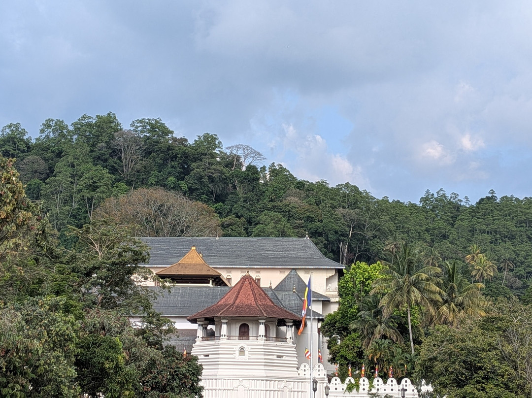 Sri Lanka Wide Tours-科伦坡必去景点