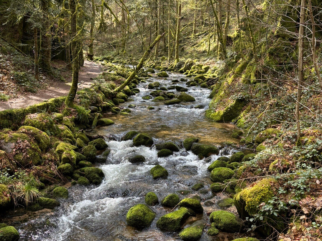 Geroldsau Waterfall-巴登巴登必去景点