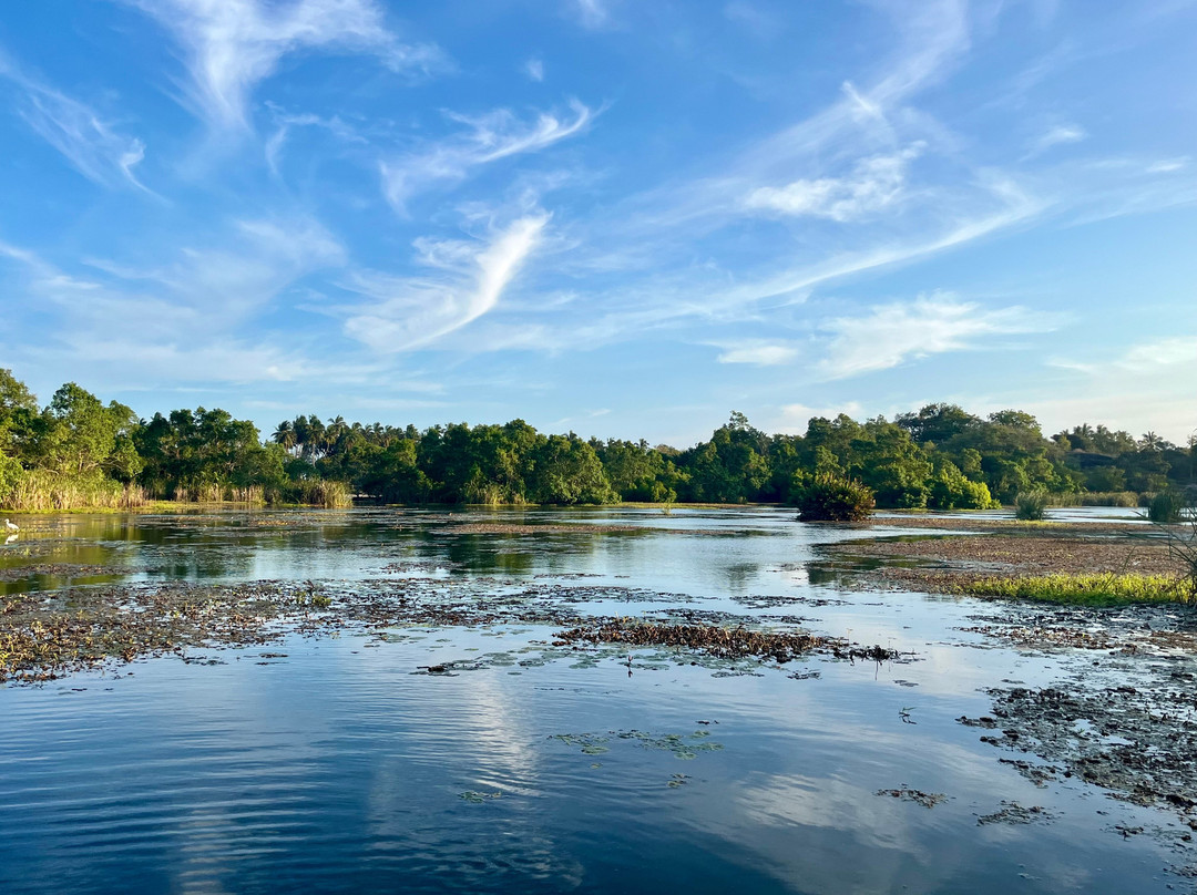 Kalametiya Eco Bird Watching-Kalametiya必去景点