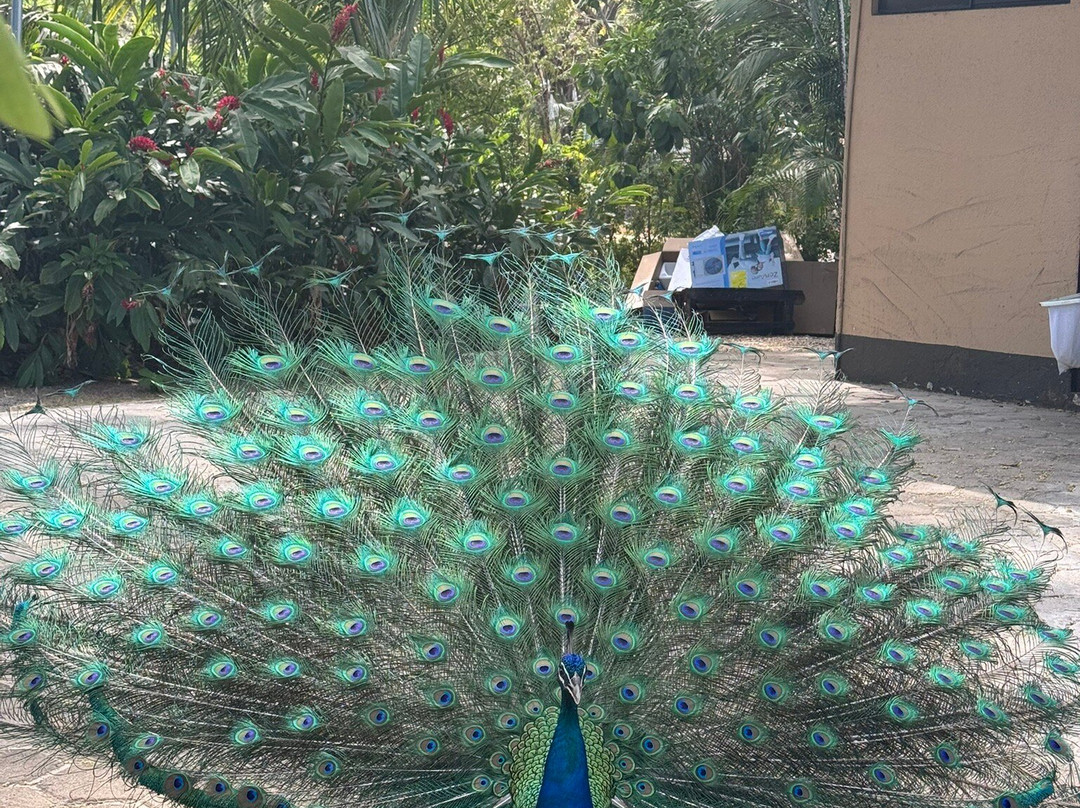 埃尔西提欧贝斯特韦斯特娱乐场酒店主图