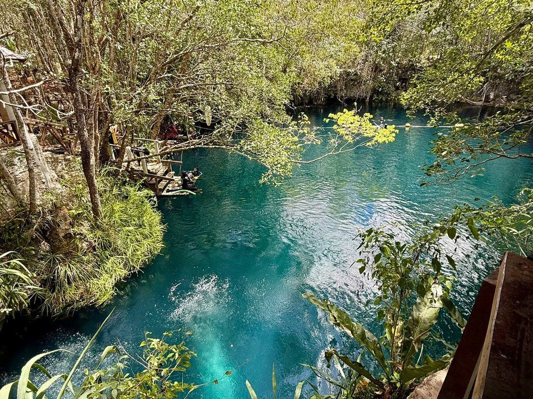 The Cenote Guy - Cenote Diving-普拉亚德尔卡曼必去景点