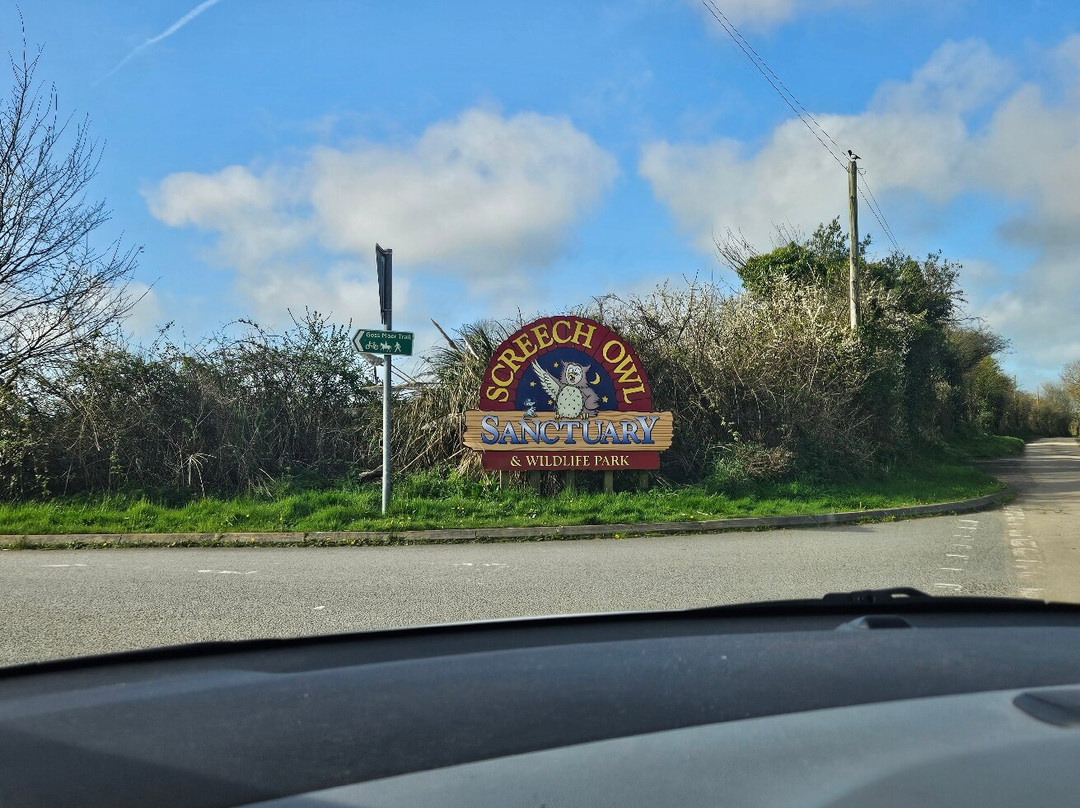 Screech Owl Sanctuary & Animal Park-St Columb Major必去景点
