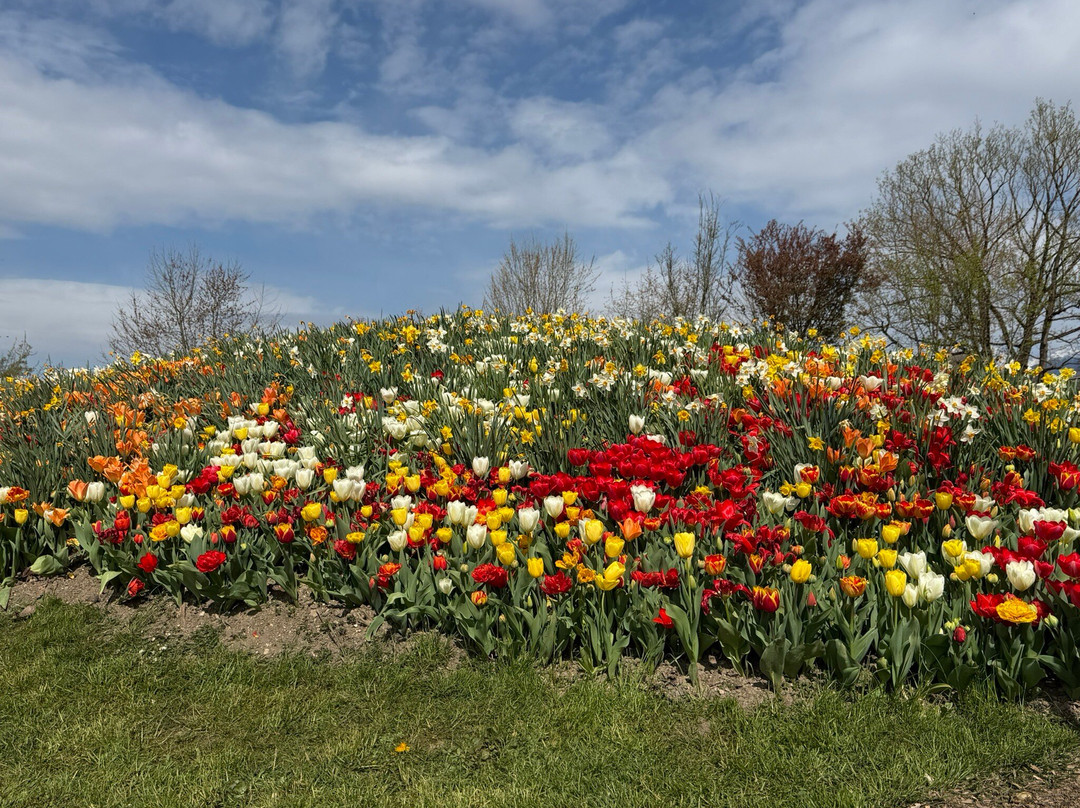 Arboretum Volčji Potok-Radomlje必去景点