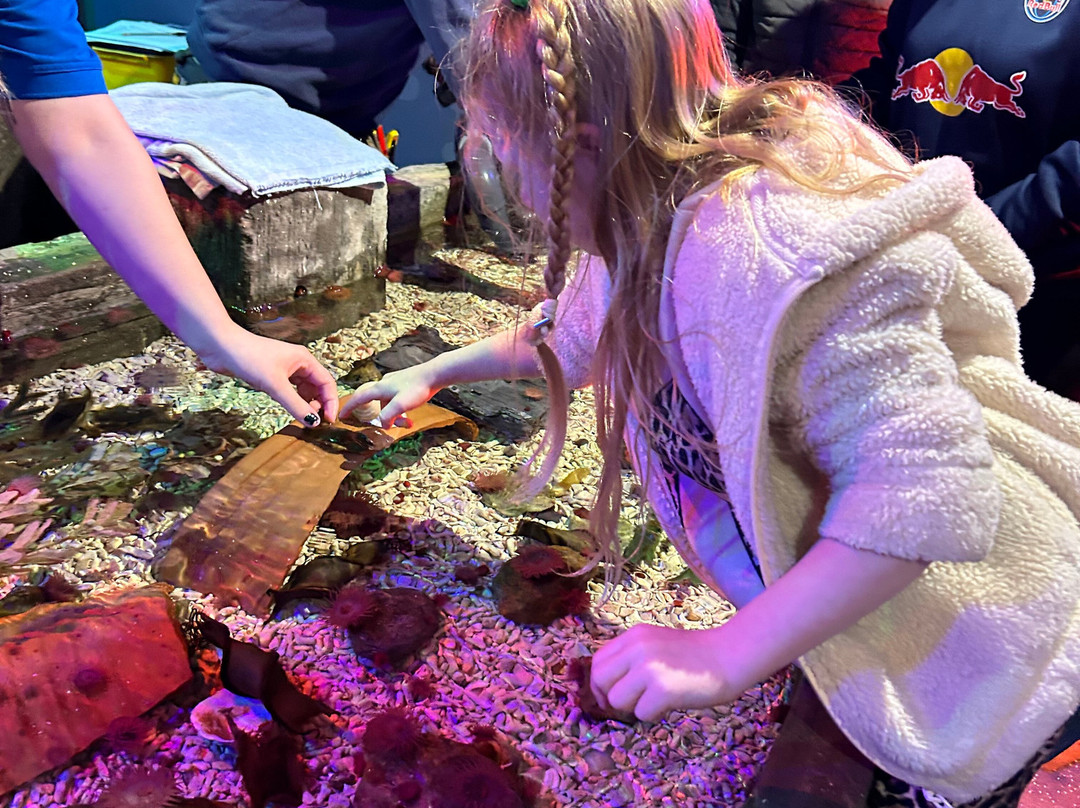 Sea Life Scarborough-斯卡伯勒必去景点