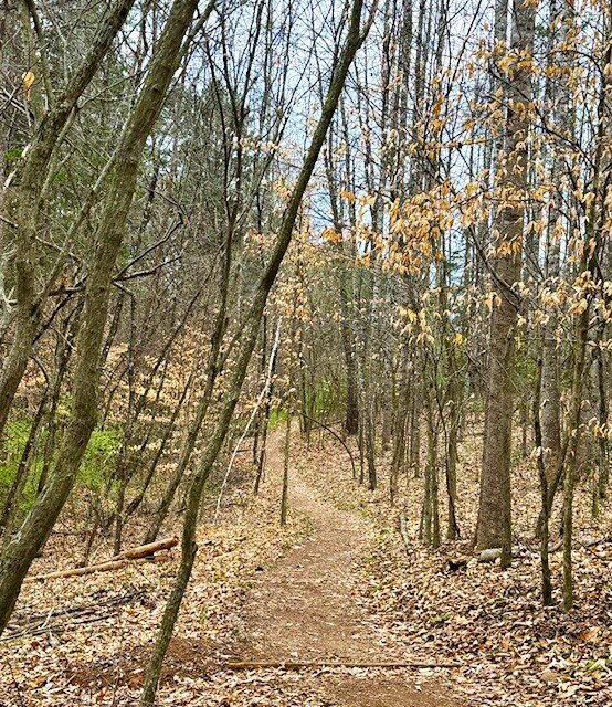 Ivy Creek Natural Area-夏洛茨维尔必去景点