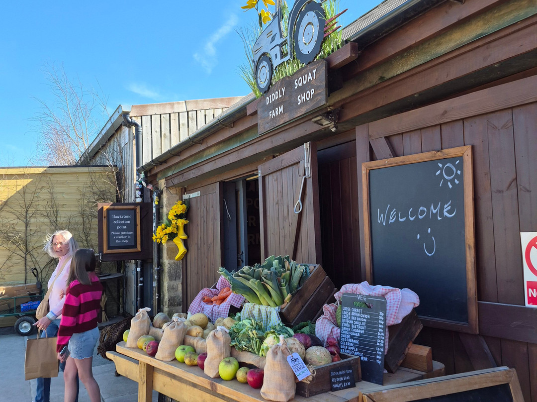 Diddly Squat Farm Shop-奇平诺顿必去景点