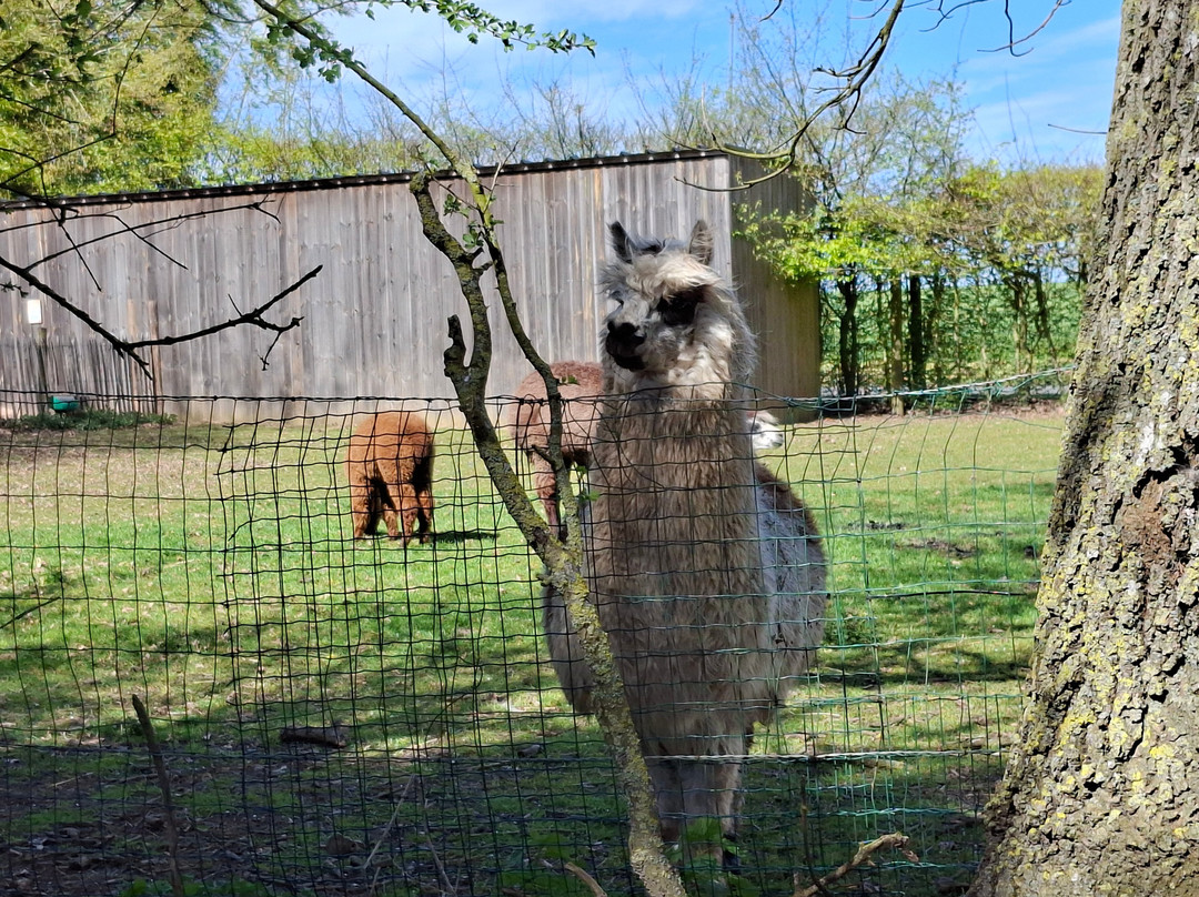 Parc Zoologique Cerza-Hermival-les-Vaux必去景点