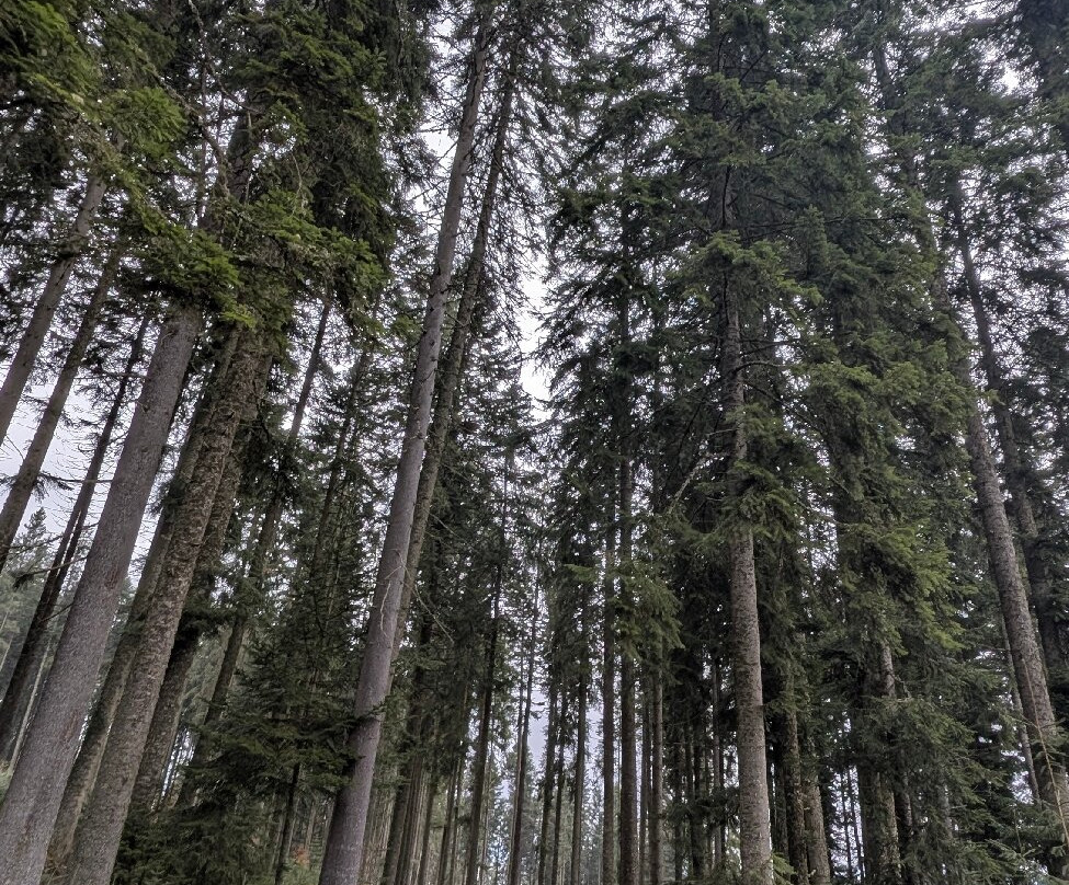 Via Transilvanica-Piatra Fantanele必去景点