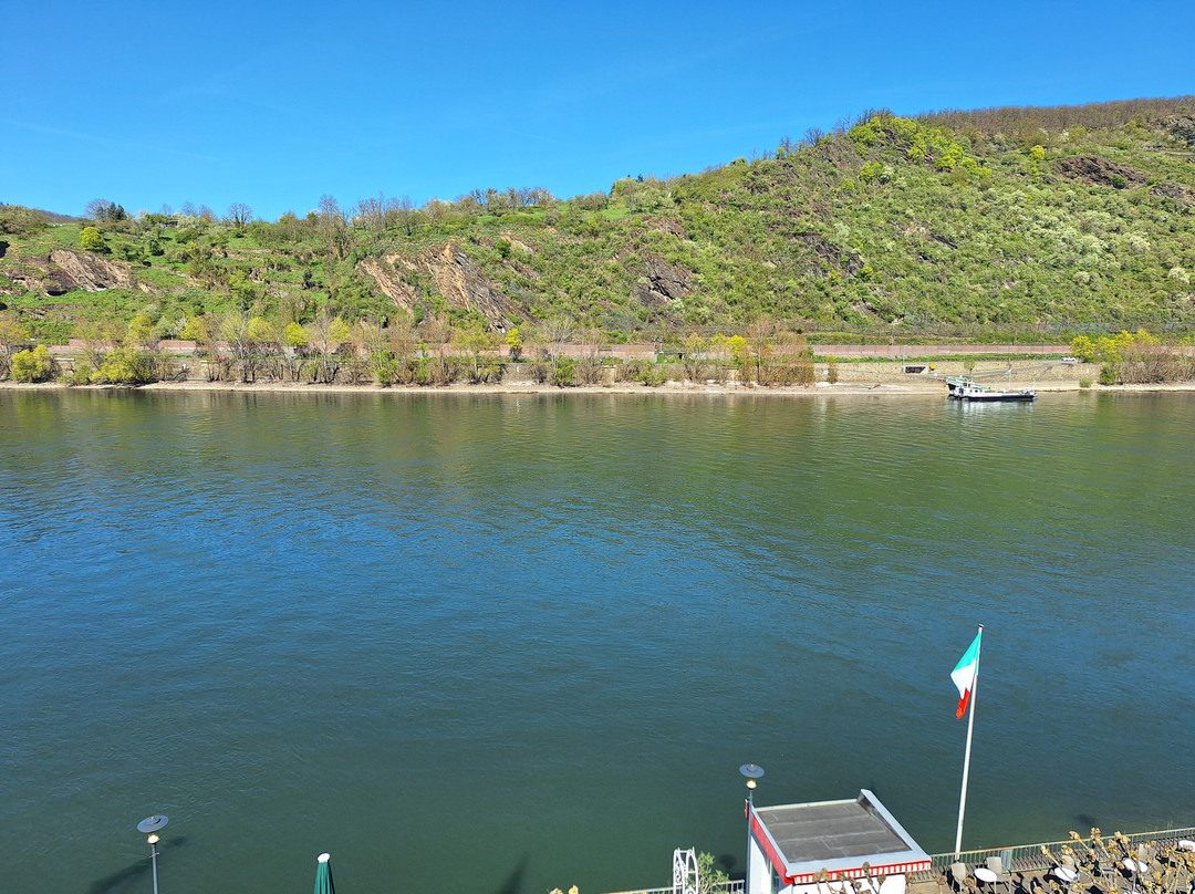 贝尔维尤莱恩酒店主图