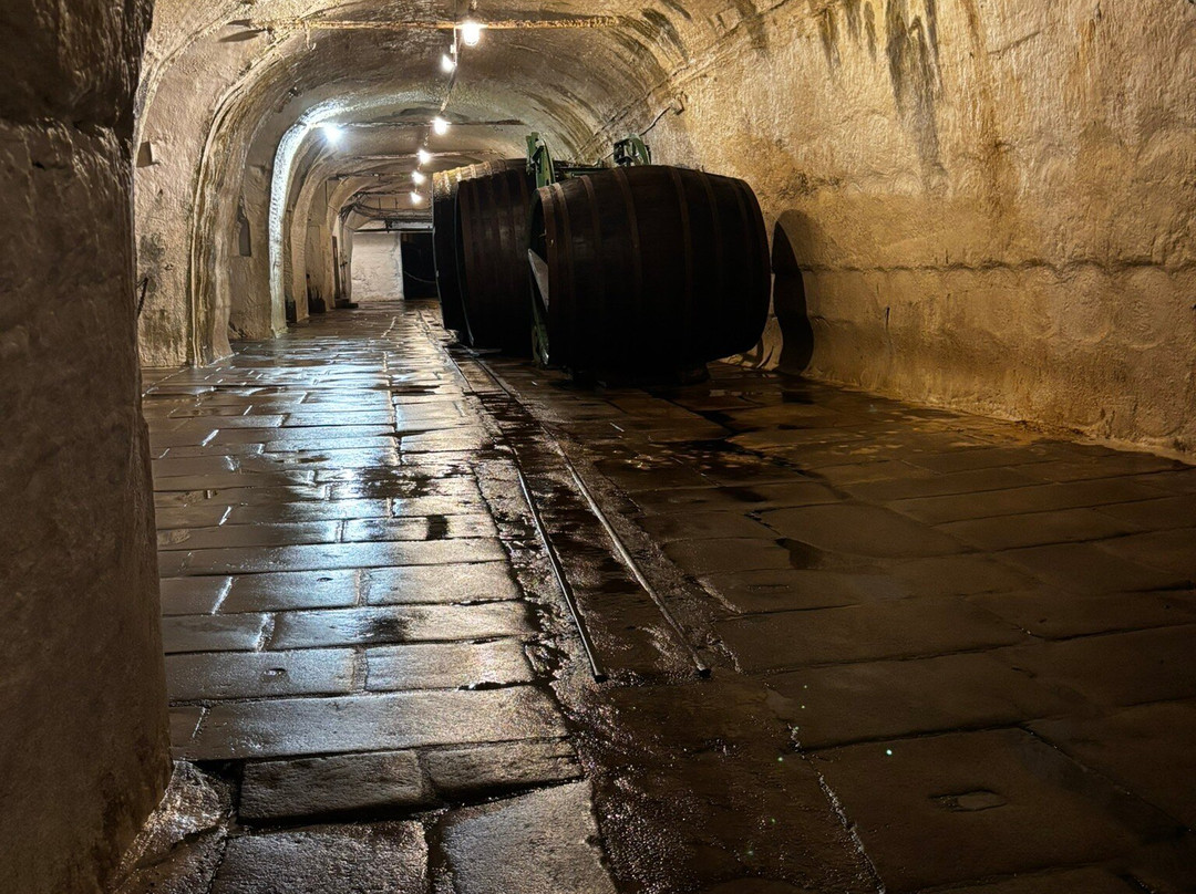 Pilsner Urquell Brewery-皮尔森必去景点