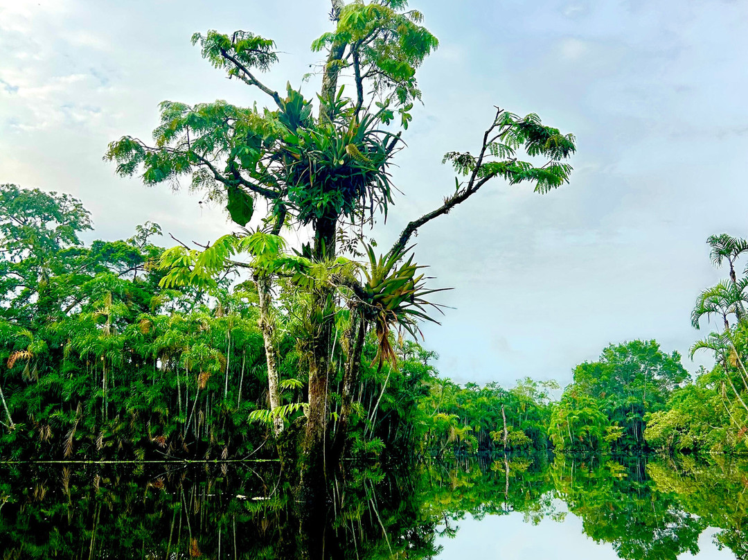Selva Verde Tours-Misahualli必去景点