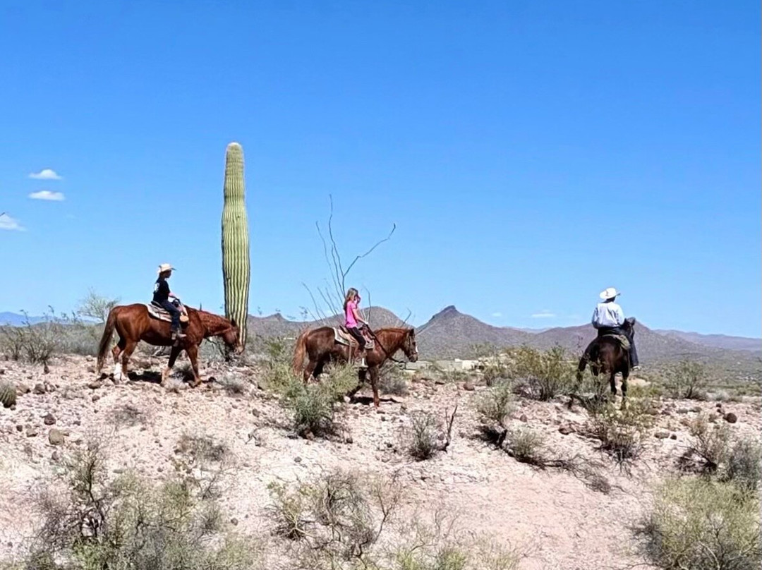 Kay El Bar Guest Ranch-Wickenburg必去景点