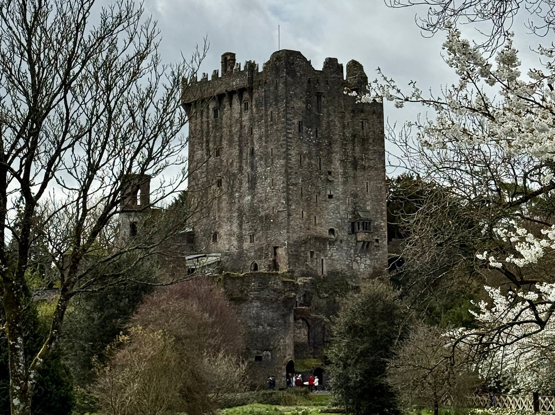布拉尼城堡及花园-Blarney必去景点