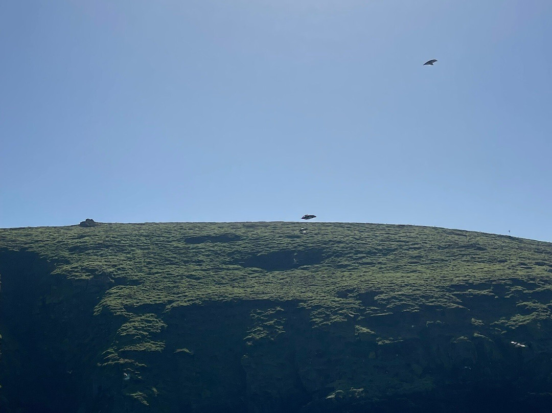 Pembrokeshire Islands Boat Trips-Marloes必去景点