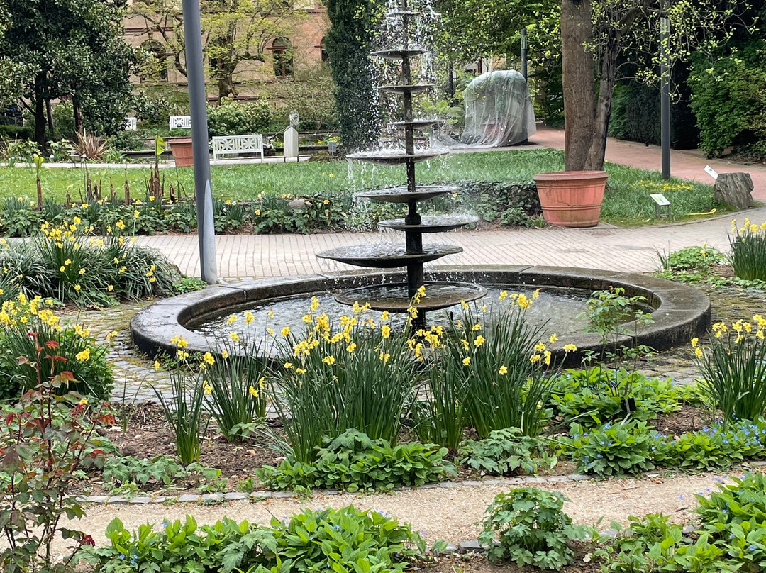 棕榈树公园-法兰克福必去景点