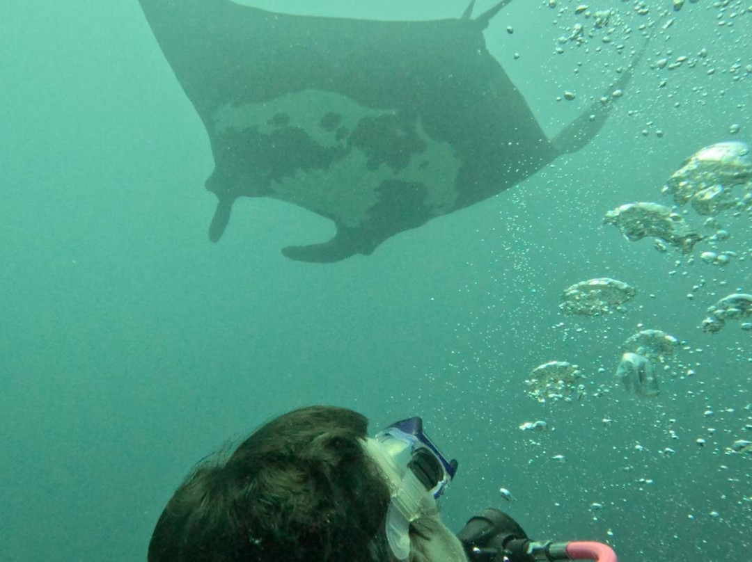 Costa Rica Adventure Divers-德雷克湾必去景点