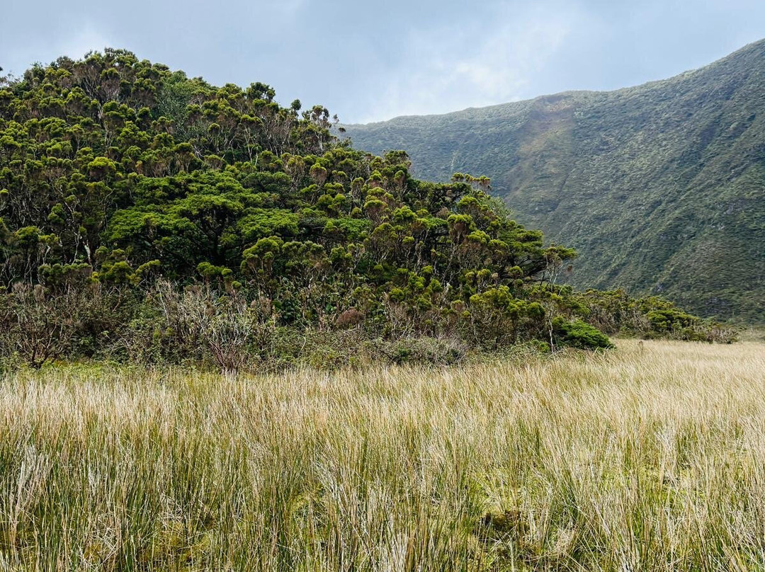 Endemic Azores-奥尔塔必去景点