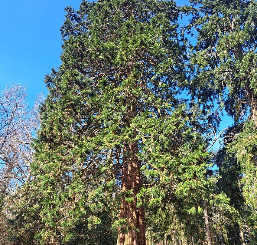 新森林国家公园-林德赫斯特必去景点