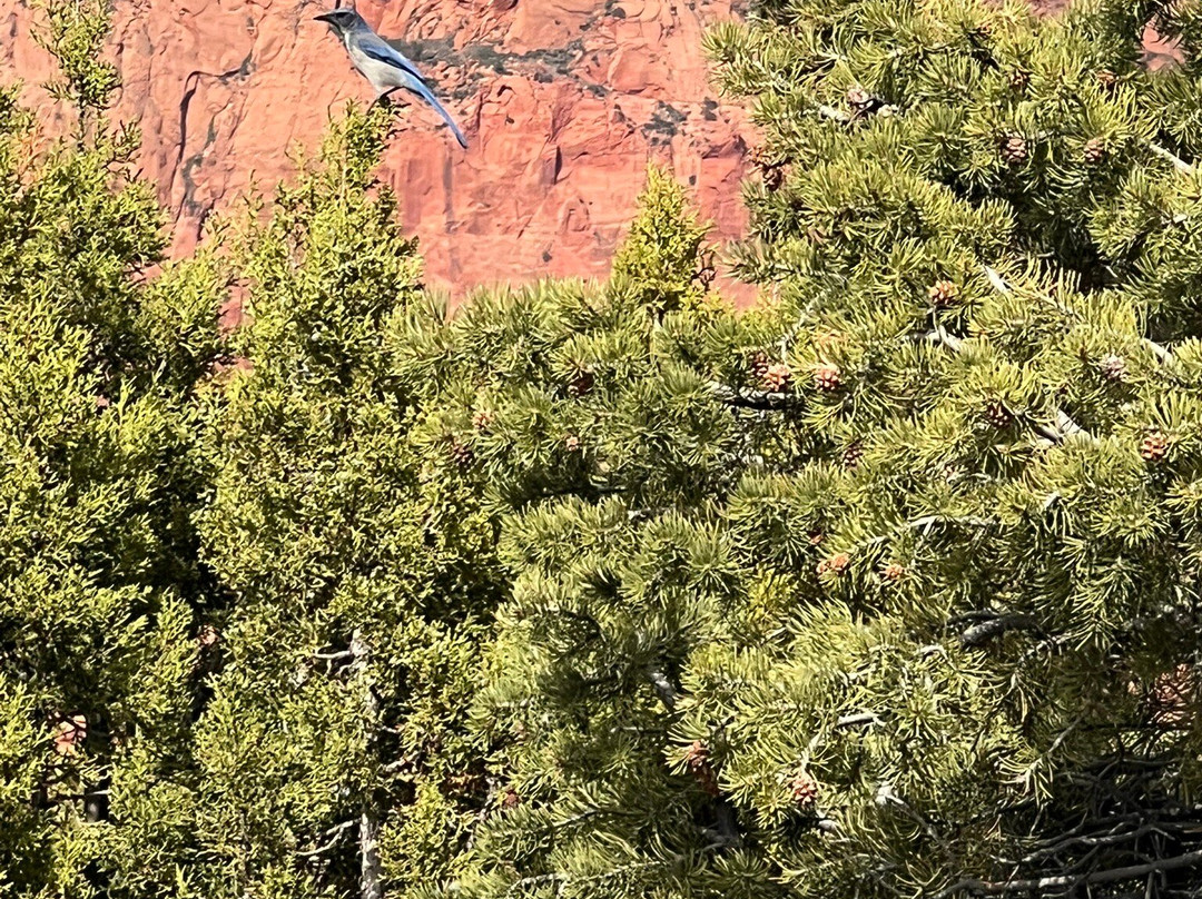 Kolob Canyon Road-锡安国家公园必去景点