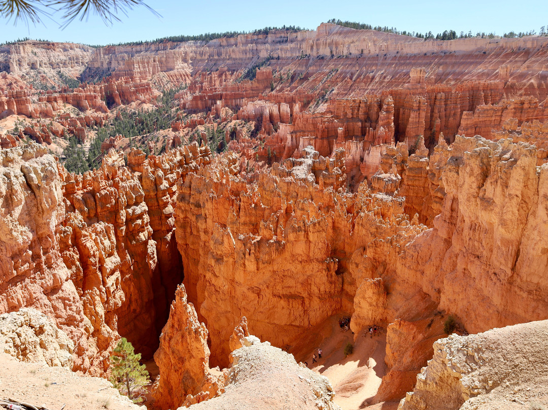 布赖斯峡谷-布莱斯峡谷国家公园必去景点