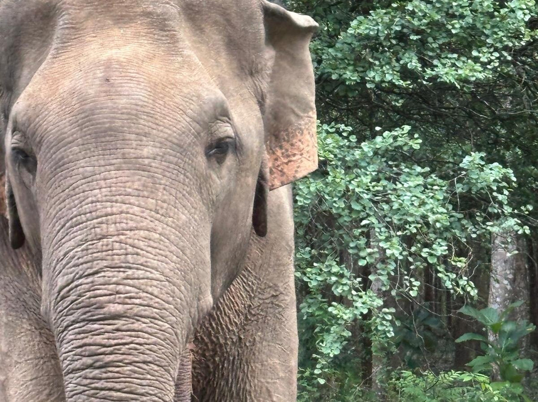 利沃纳花园度假村主图