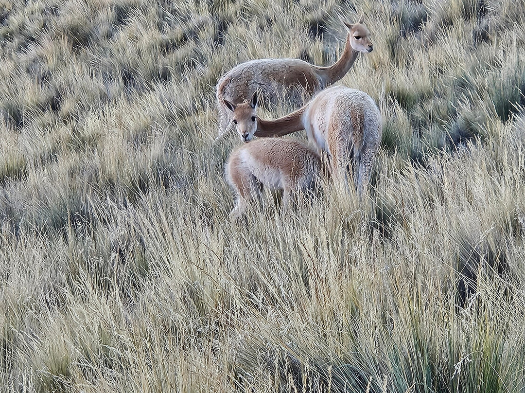 Serranias Del Hornocal-塔夫拉达·德乌玛瓦卡必去景点