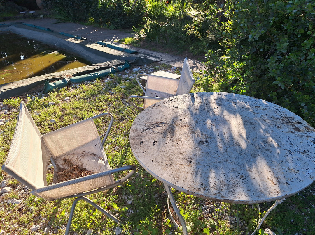 特里尼塔公寓酒店主图