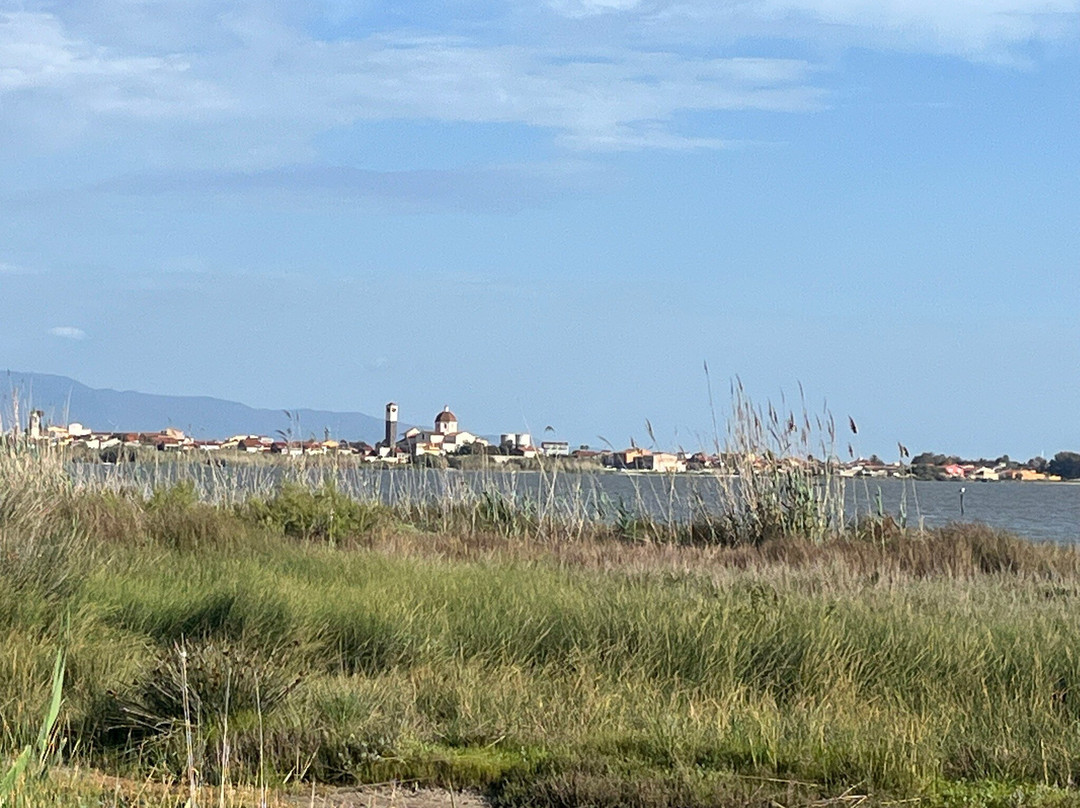 Stagno di Cabras-卡布拉斯必去景点