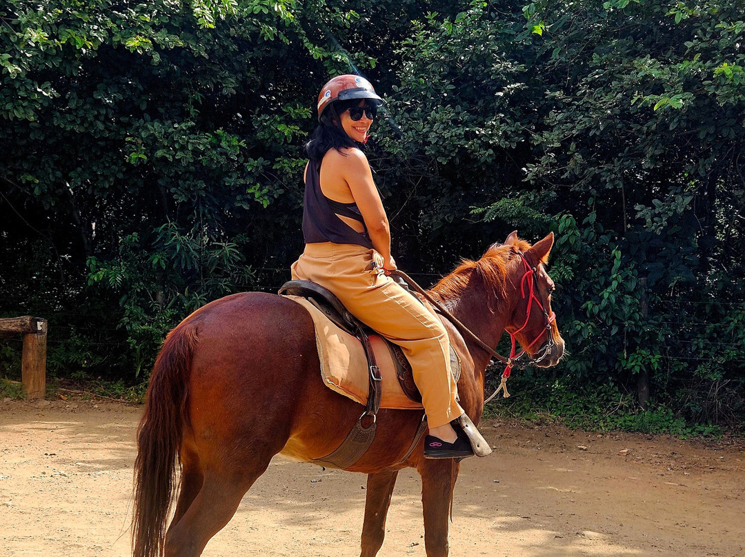 Hotel Fazenda Terra Dos Sonhos主图