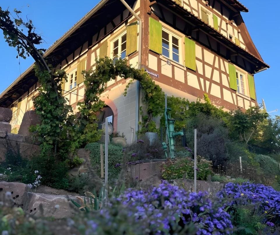 Fewos Weingut Pieper Basler