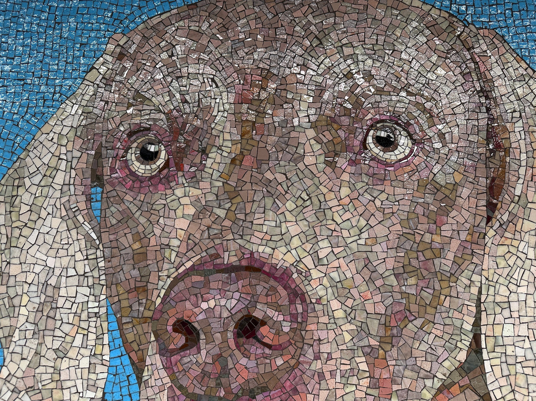 NYC Subway Art Tour-纽约市必去景点