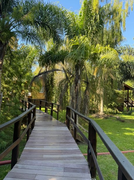 Delta Eco Hotel-旅行者