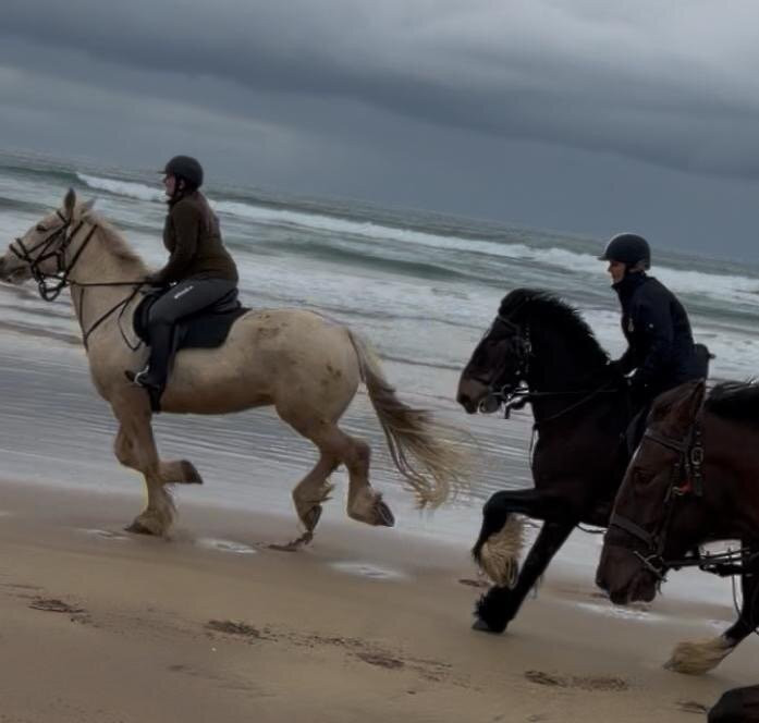 Bespoke Equestrian Ireland-都柏林必去景点