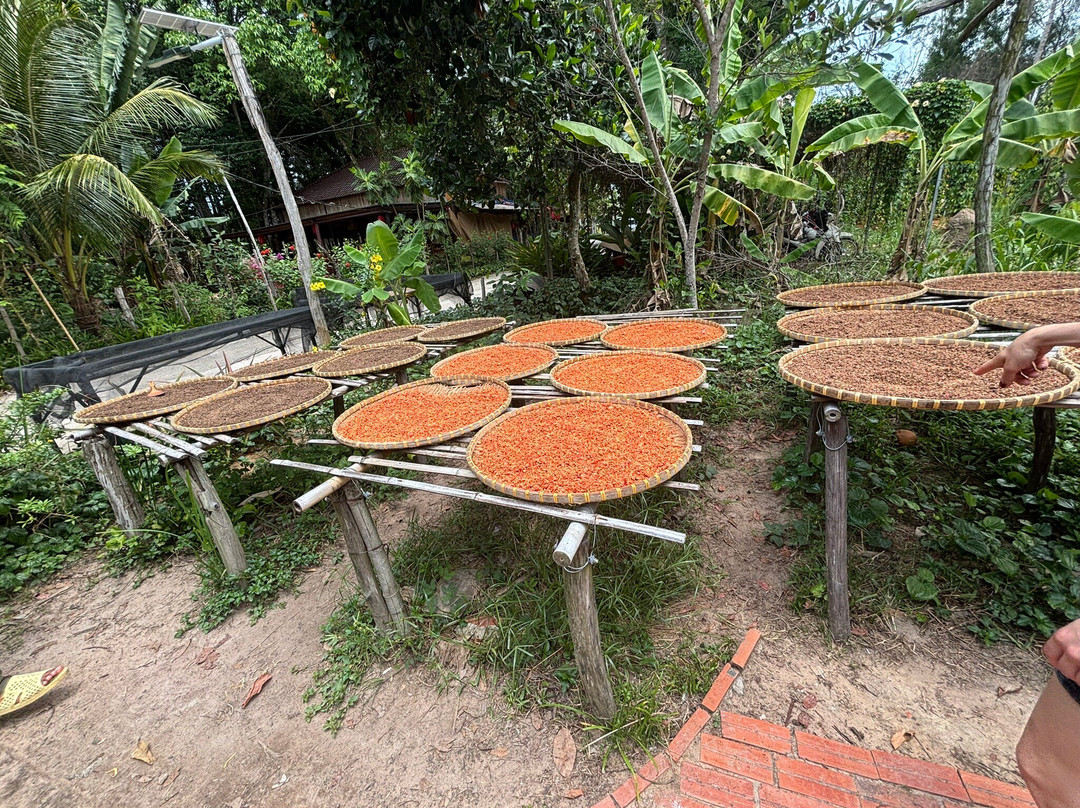 Phu Quoc Countryside-富国岛必去景点