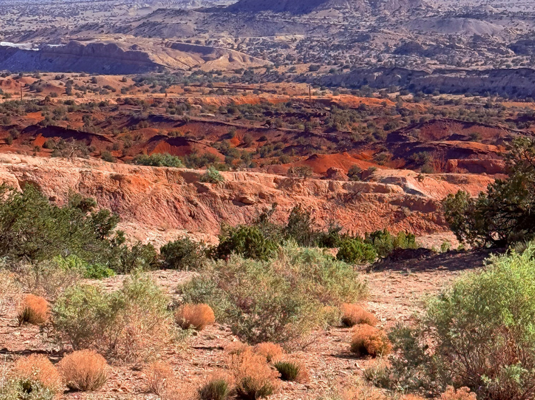 New Mexico Jeep Tours-阿尔伯克基必去景点