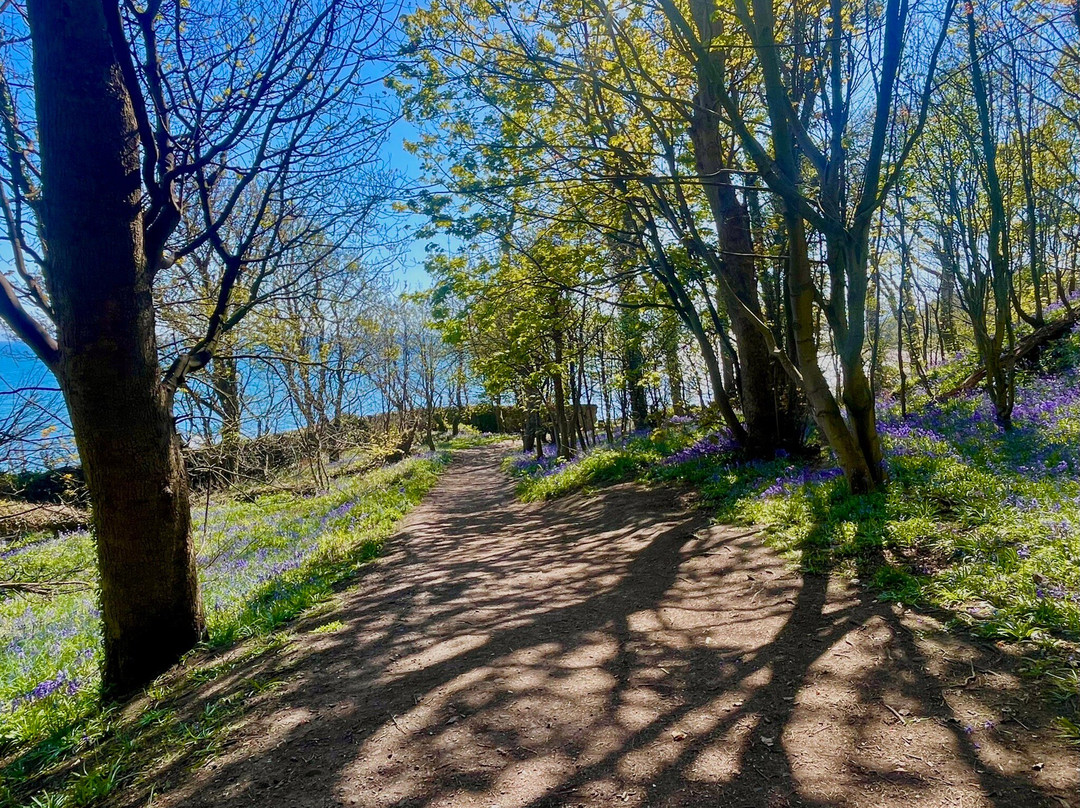 Ravenscraig Park-Kirkcaldy必去景点