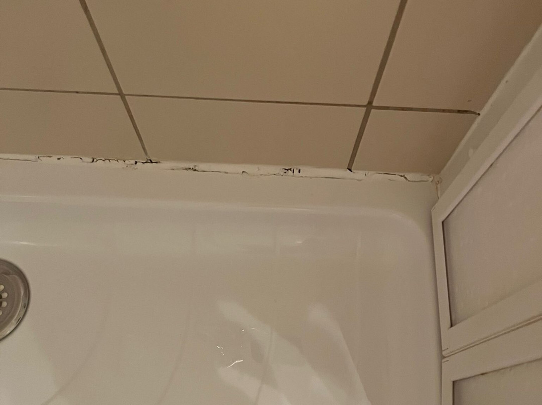哈西斯泰因派特隆疗养酒店主图
