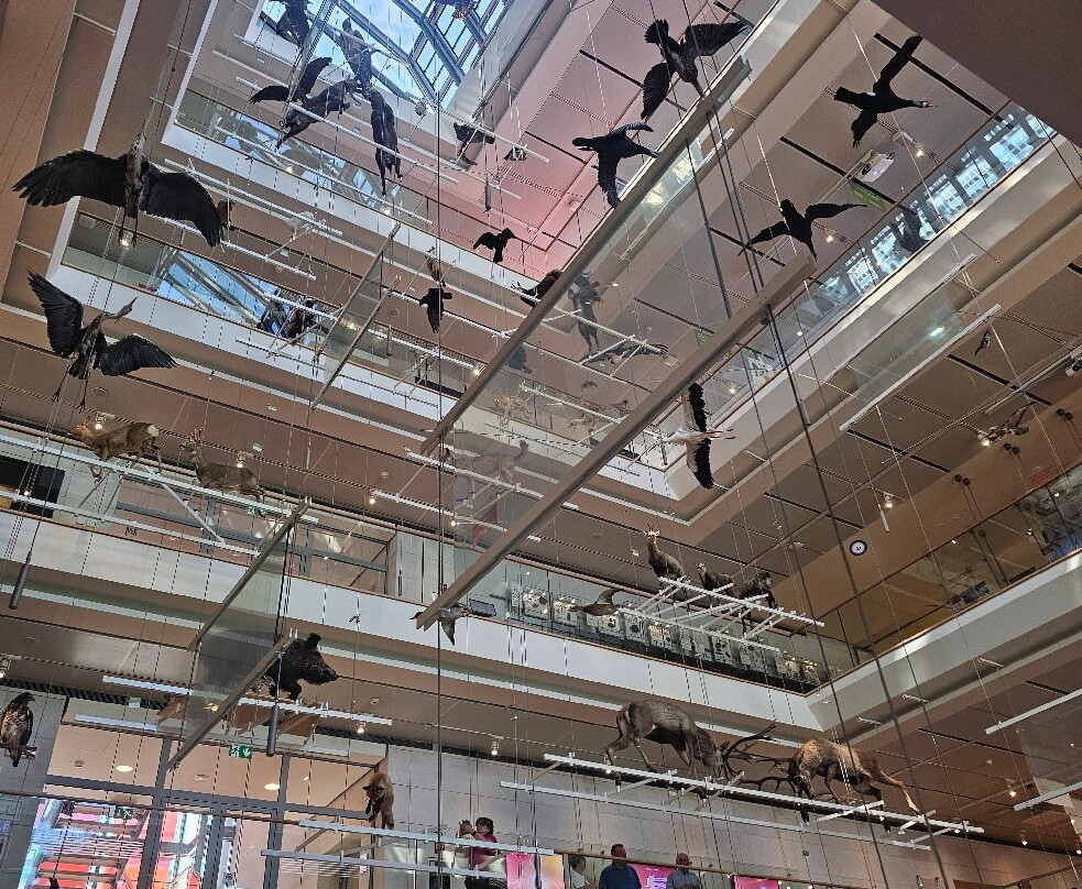 MUSE - Science Museum-特伦托必去景点
