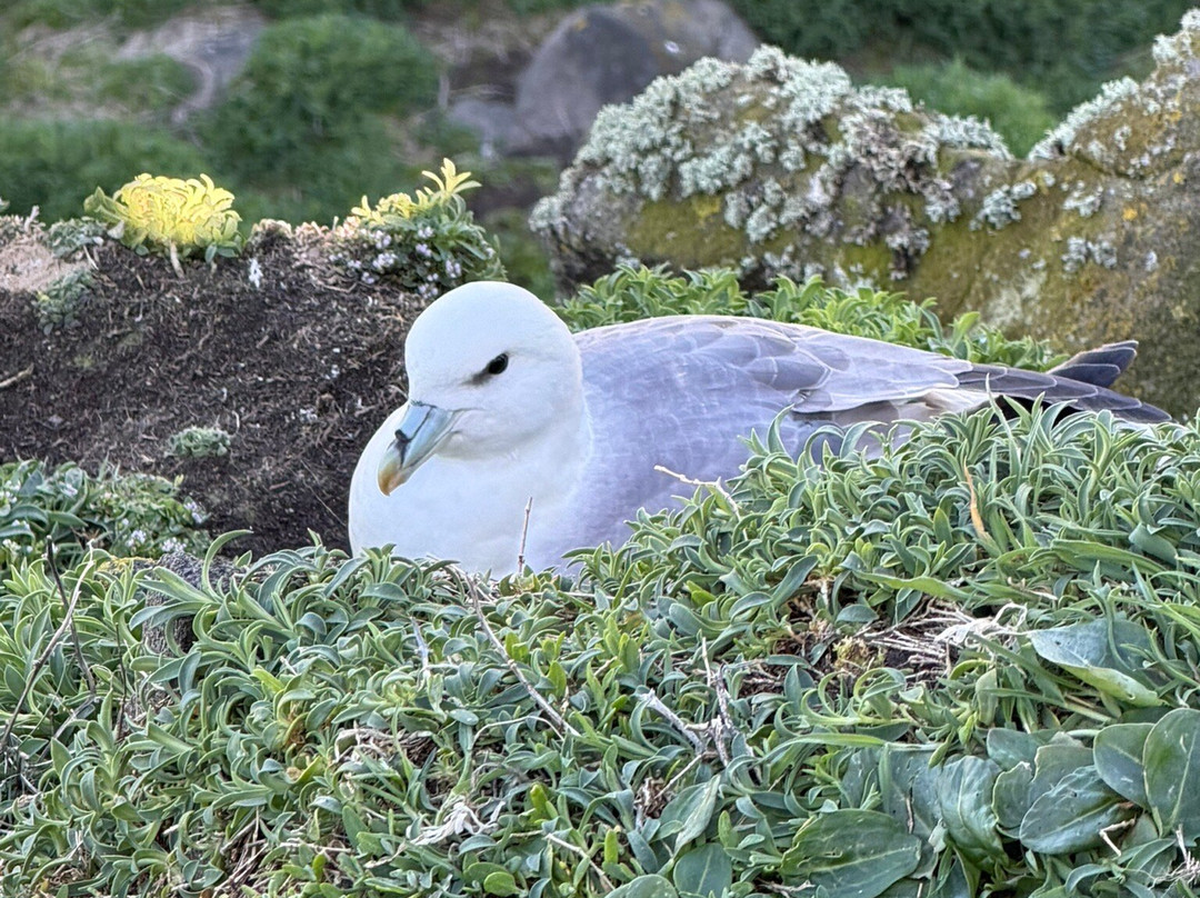 Scottish Seabird Centre-北柏威克必去景点