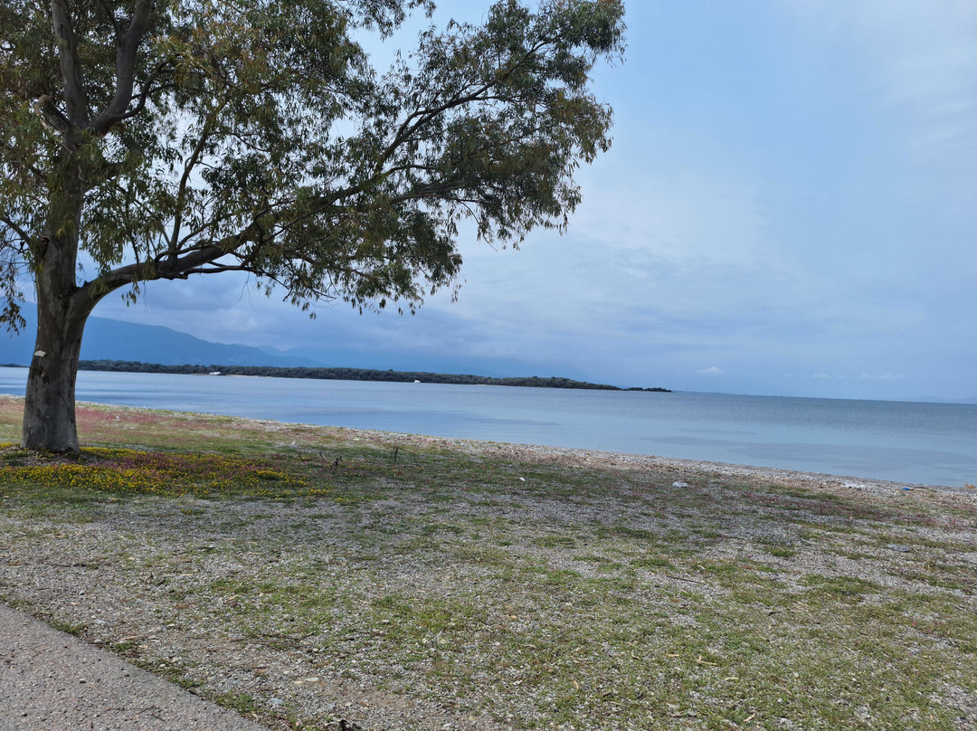 Lichadas (Kavos) Beach-Kavos必去景点