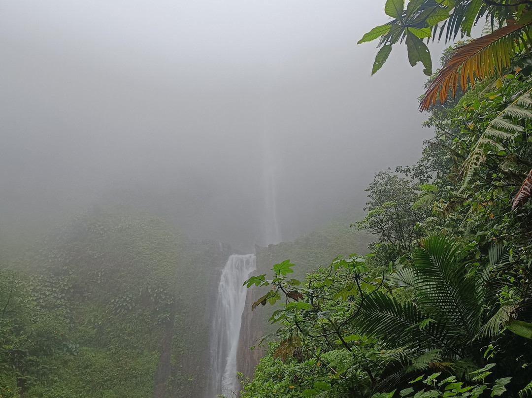 Carbet Falls (Les Chutes du Carbet)-Parc National必去景点