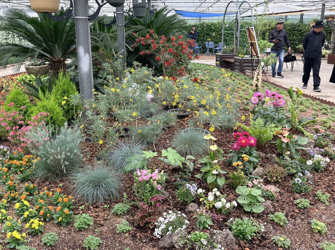 Geoje Botanic Garden Jungle Dome-巨济市必去景点