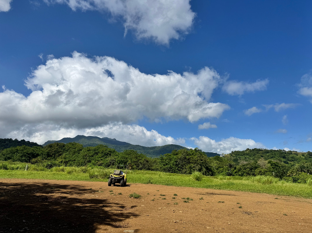 Carabali Rainforest Park-Luquillo必去景点