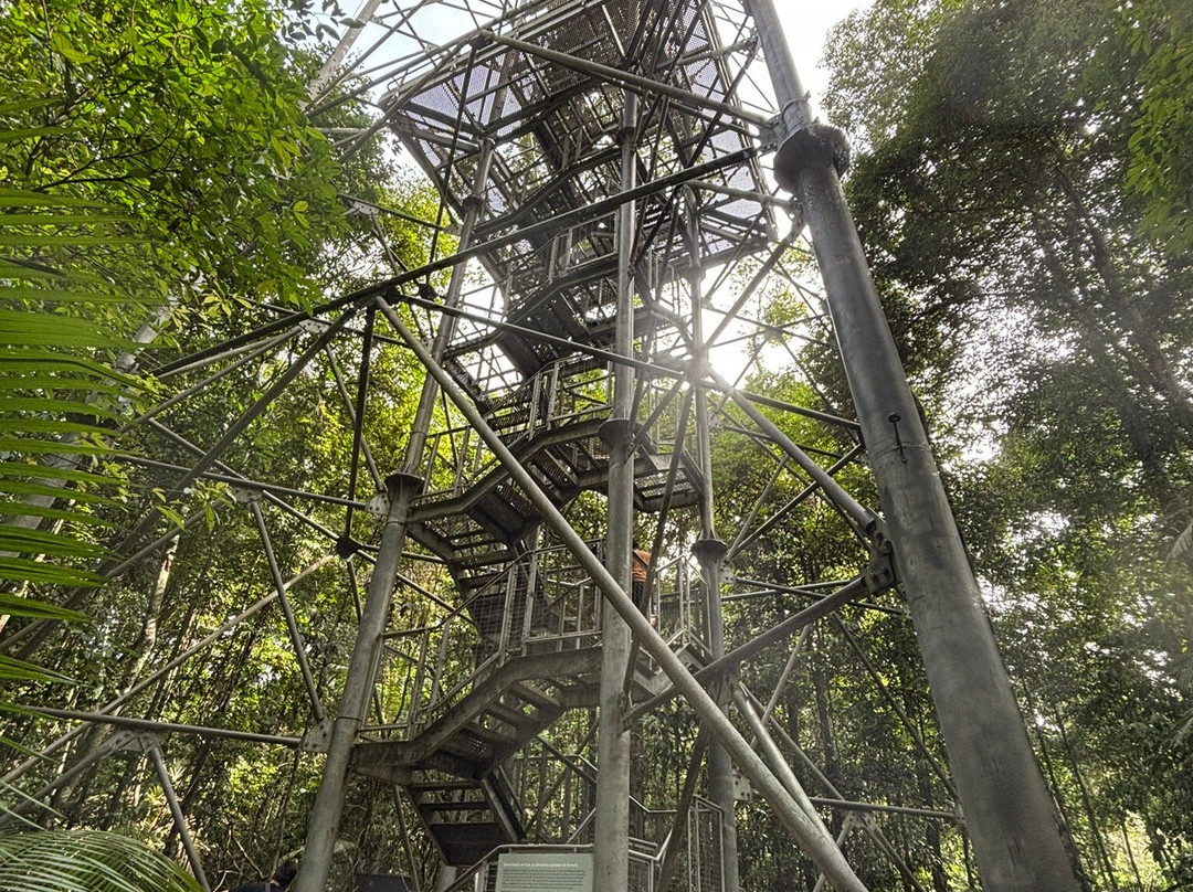 Museu da Amazonia (MUSA)-玛瑙斯必去景点